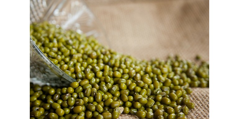 Fasola Mung idealna dla wegetarian i nie tylko