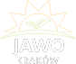 webvist logo